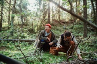Two guys are bent down in the woods at Mustavuori nature reserve, foraging for mushrooms. The sun is shining through the trees behind them.