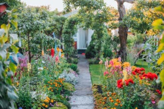 A path surrounded by flowers at one of Helsinki city's gardens